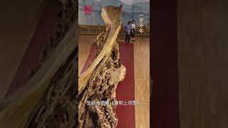 《一字千年》——木