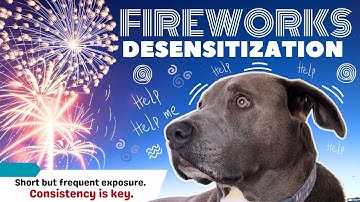 Fireworks Noise Desensitization for Dogs | Ambient Sound Fireworks | Dog Anxiety