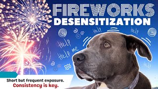 Fireworks Sound Desensitization for Dogs | Dog Preparation to Fireworks | Dog Anxiety by The Wolf and Bears 521 views 7 months ago 43 minutes