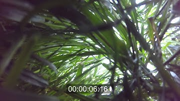 Peter saves gopro from PX4 crash