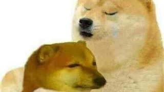 Chúc mọi người 1 ngày tốt lành và chúc ngủ ngon=)) screenshot 2