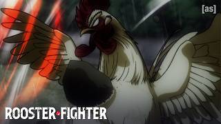 Elizabeths Realization About Keiji Rooster Fighter Adult Swim