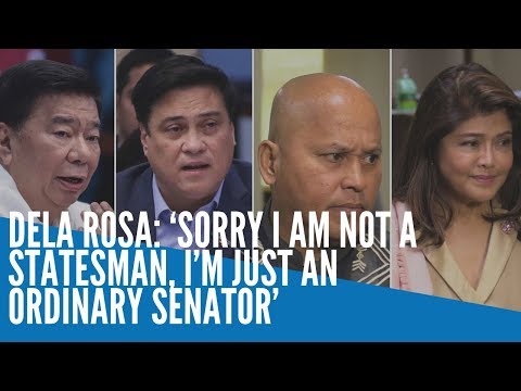 ‘Sorry I am not a statesman, I’m just an ordinary senator’ – Dela Rosa