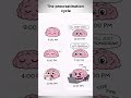 The procrastination cycle #shorts