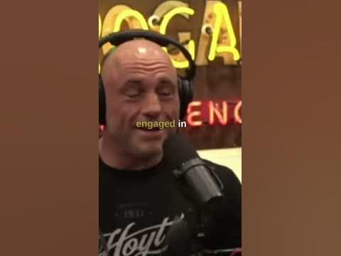 JRE on Smart Chimpanzees #shorts #joerogan #chimp #monkey - YouTube