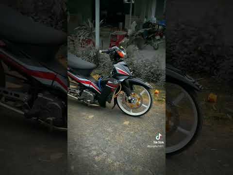 Video sirius đen độ kiểng ????/#shorts - youtube