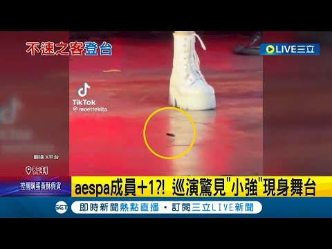 韓團南美開唱台上遇"小強"! "小強"搶佔c位 aespa花容失色大奔逃 粉絲笑稱:第5名成員｜記者 簡雪惠｜【國際大現場】20230918｜三立新聞台