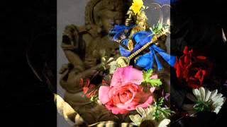Saraswati raaga on saraswati guitar veena