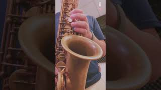 Download Lagu Have I told you lately by Rod Stewart(Eric Marienthal version) - Sax cover MP3 Download Lagu Have I told you lately by Rod Stewart(Eric Marienthal version) - Sax cover MP3