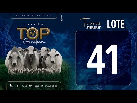 LOTE 41 FSM A2790