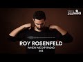 Roy rosenfeld  when we dip radio 64 18618