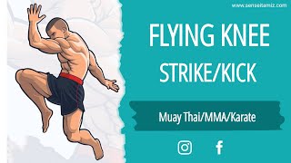 Muay Thai Flying Knee Strikes | Rear Leg Long Strikes | Karate Hiza Geri | MMA Jumping Knee Strikes