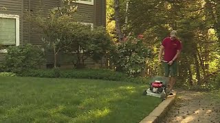 Lawn Love Landscaping
