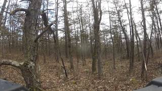 Blazing a New Trail Part 2