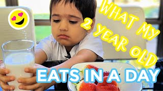 What my 2 Year old EAT in a DAY | Indian Vegetarian Toddler Meal Ideas | Breakfast to Dinner Recipes