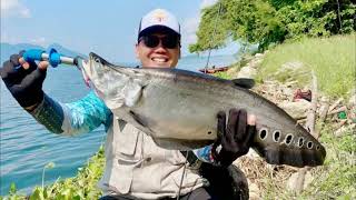 HUNTING FOR BELIDA FISH AND PEACOCK BASS IN JATILUHUR RESERVOIR
