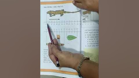 P V MODERN SCHOOL | Standard 3 | Maths | Chapter 4 - lambu n tunku