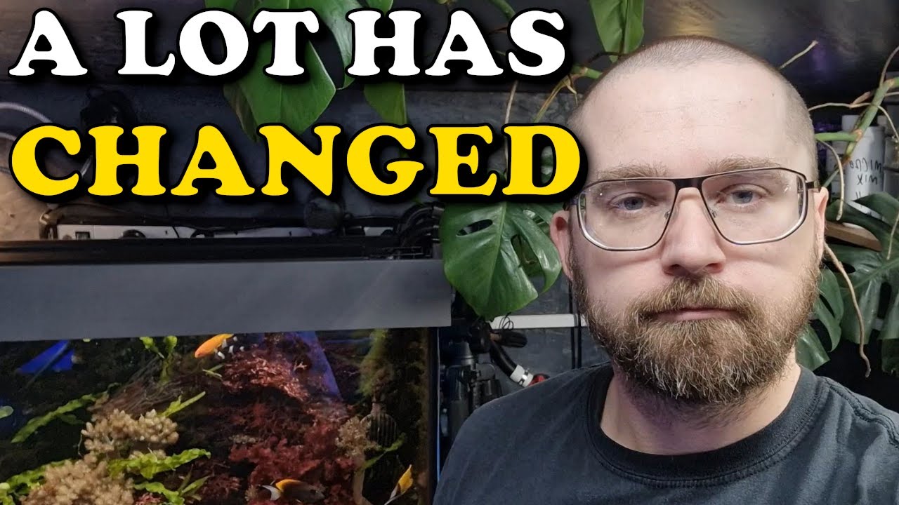 2 Years Of Running A FISH HOUSE YouTube