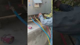 voltage checking of new transformer #shorts