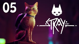 STRAY Walkthrough Gameplay - PART 5 - The Sewers | PS5