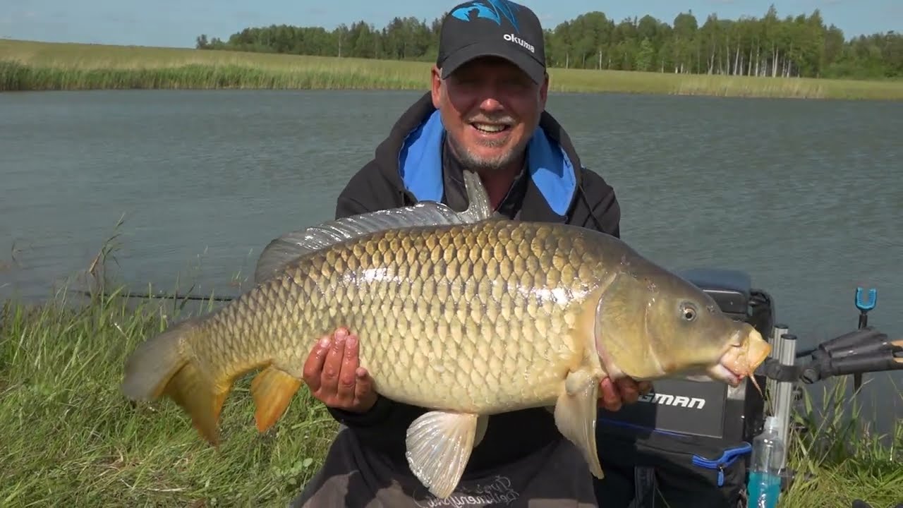 Karpiai method feederiu. TV