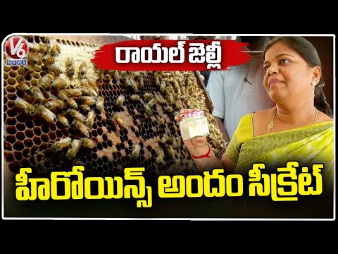 Royal Jelly : Used In Beauty Products | Honey Bee Farming | V6 News - V6NEWSTELUGU