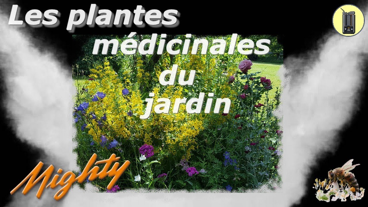 VAPORISATION, 17 Plantes De Jardin, Vaporisateur d'Herbes Sèches, Test & Avis
