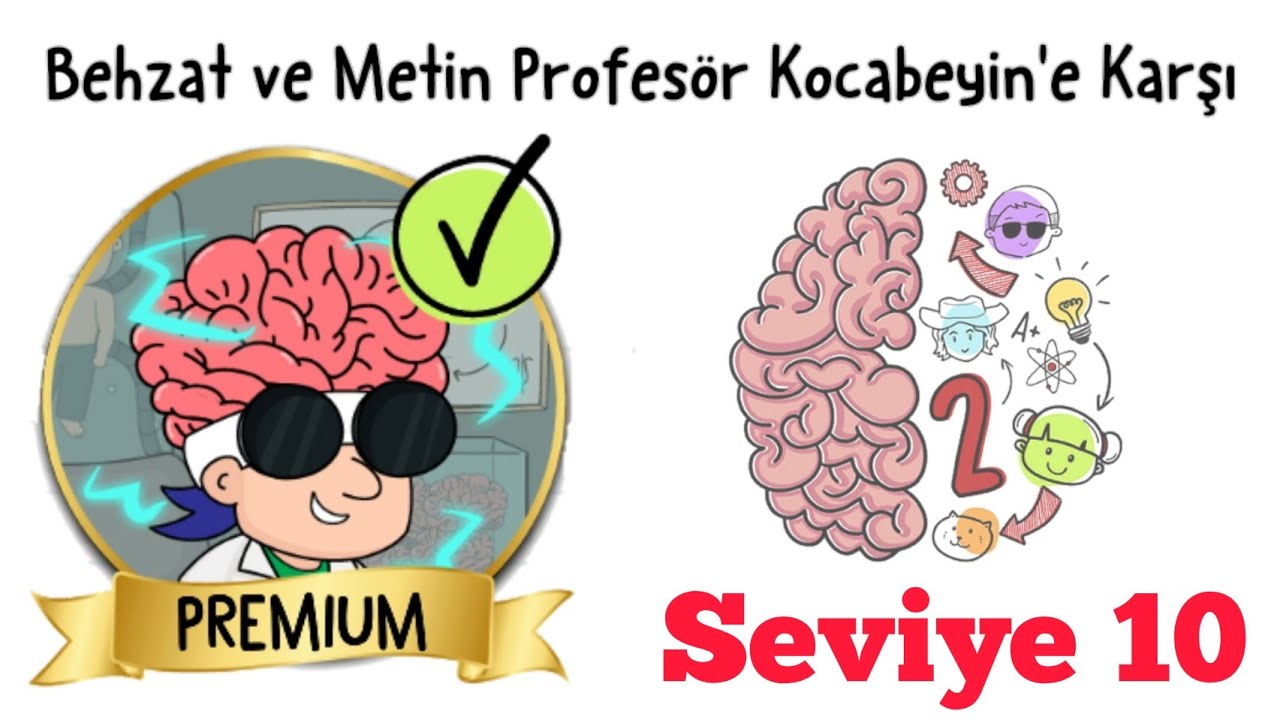 Brain Test 2: Tricky Stories - Behzat Ve Metin Profesor Kocabeyin'e Karşı Seviye 10 Walkthrough