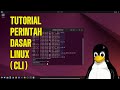 Belajar Perintah Dasar Linux untuk Pemula | Panduan Lengkap CLI Linux