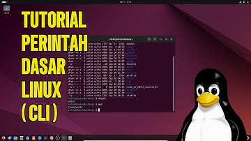 Belajar Perintah Dasar Linux untuk Pemula | Panduan Lengkap CLI Linux