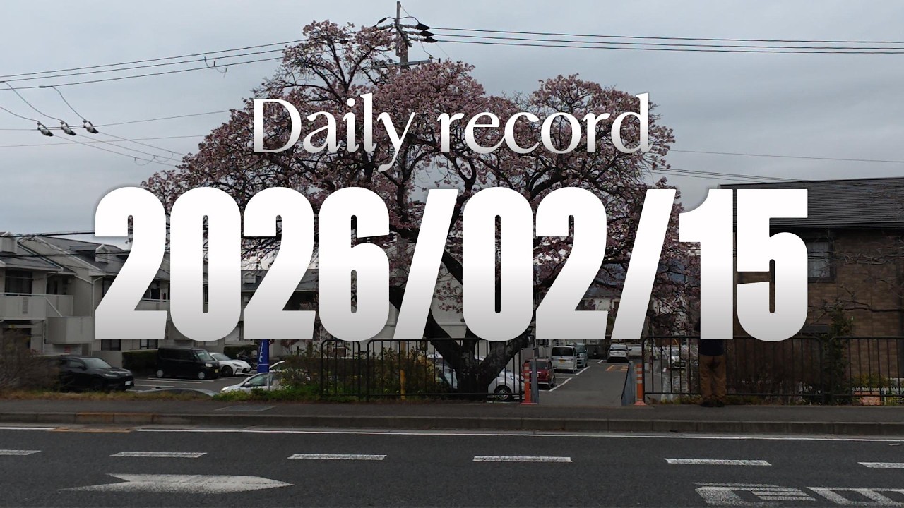 【日記】2026年2月15日（日曜日）★散歩（和歌山市/ウォーキング/BGMなし/倍速なし）【123CiTY!WAKAYAMA店】