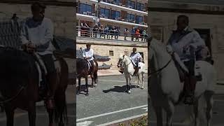 Me encontré a unos montadores de caballos andaluces #caballos #sevilla #sol
