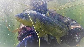 Подводная Охота 2017.Ноябрь.Щука.Судак.Сазан.Spearfishing 2017.November.Pike.Sudak.Carp.