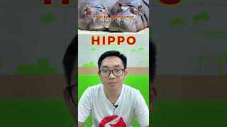 Say 'HIPPO' Like a Pro: A Guide to Perfect Pronunciation | Harry Tran screenshot 1