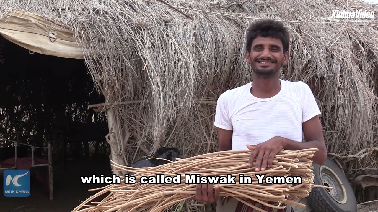 Yemenis struggle to survive by selling "natural toothbrushes"