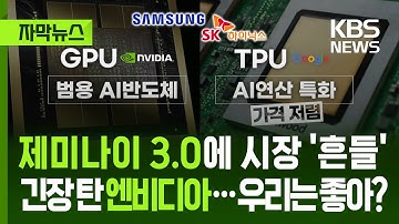 [자막뉴스] 제미나이 3.0 등장에 시장 