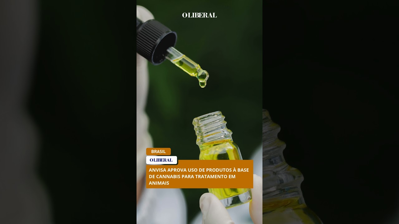 Anvisa aprova uso de produtos à base de cannabis para tratamento em animais