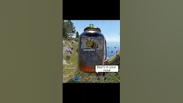 Bees to the face😭😭 #rustfunnymoments #rustpc #rustshorts #funny