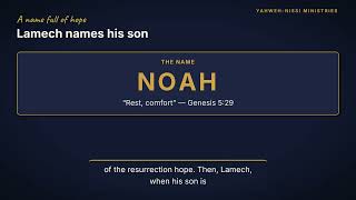 Genesis 5