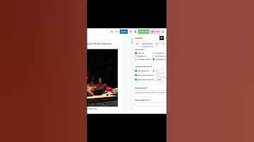 What is Max Snippets Robots Meta Tag