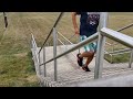 Running stairs is great exercise