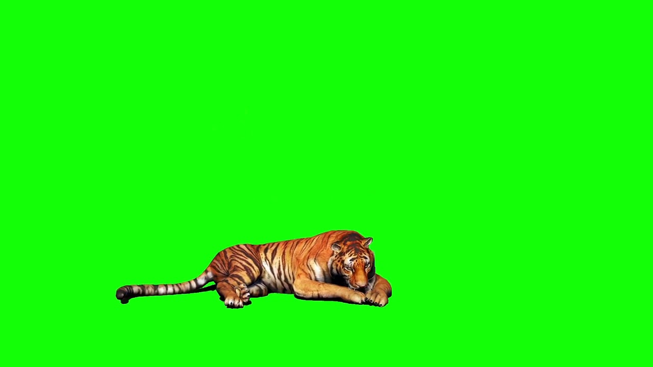 My al green screen video like