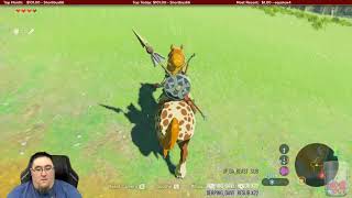 The Legend of Zelda Breath of the Wild review BOTW Playthrough #9