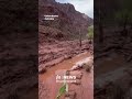 Flash floods hit Grand Canyon, more than 20 reported missing