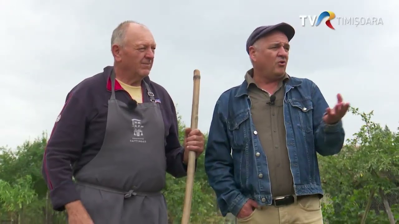 Mătură de avlie sau mătură de sobă #GraiulBanatean