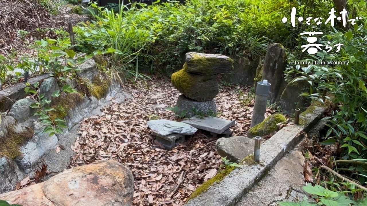 Comecei a criar peixinhos dourados regenerando uma lagoa quebrada