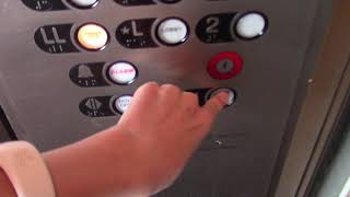 Westinghouse Traction Scenic Elevators at the Hilton, Atlanta, GA