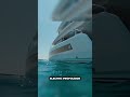Is Silent Yachts The Future of Eco Friendly Boating?