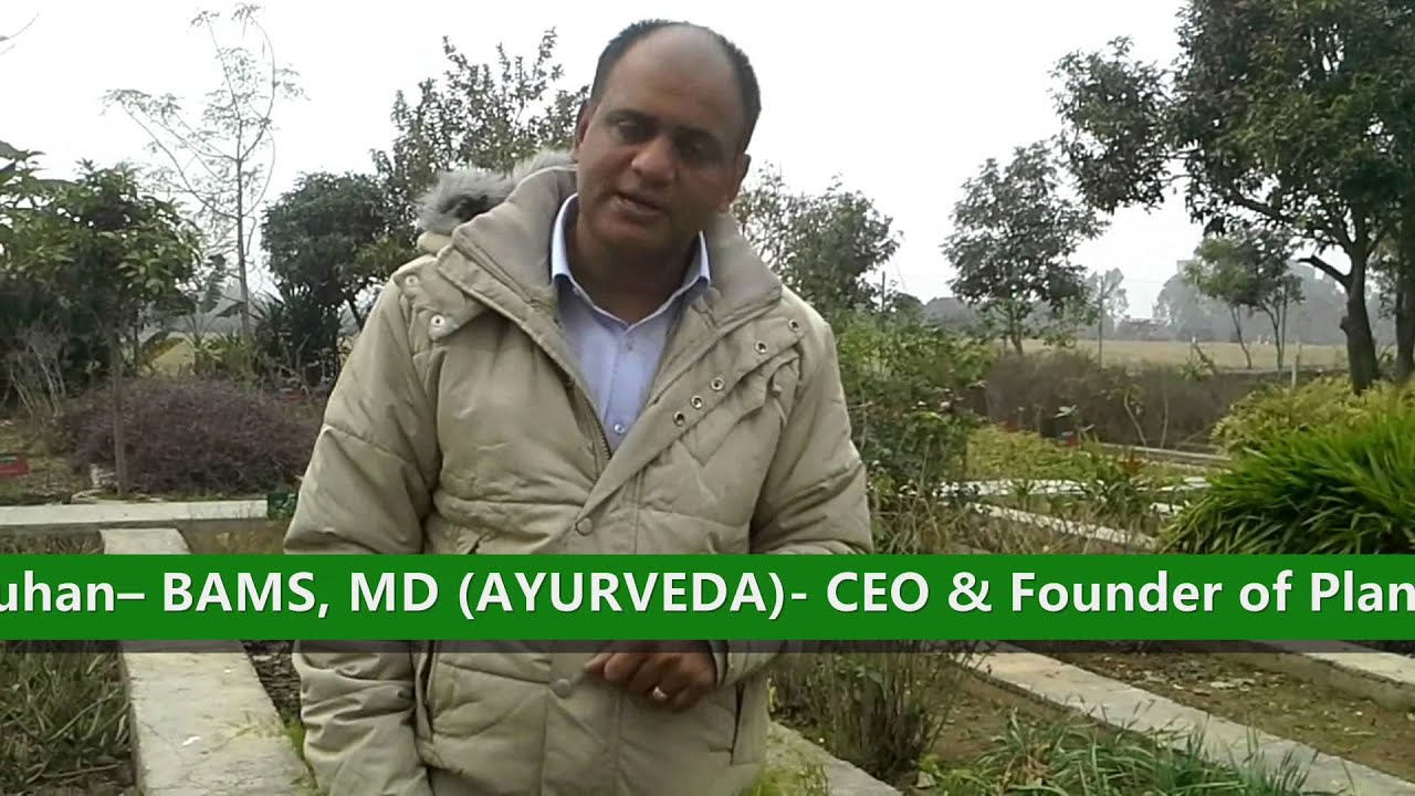 Shatavari ( Asparagus racemosus) Benefits and Uses YouTube