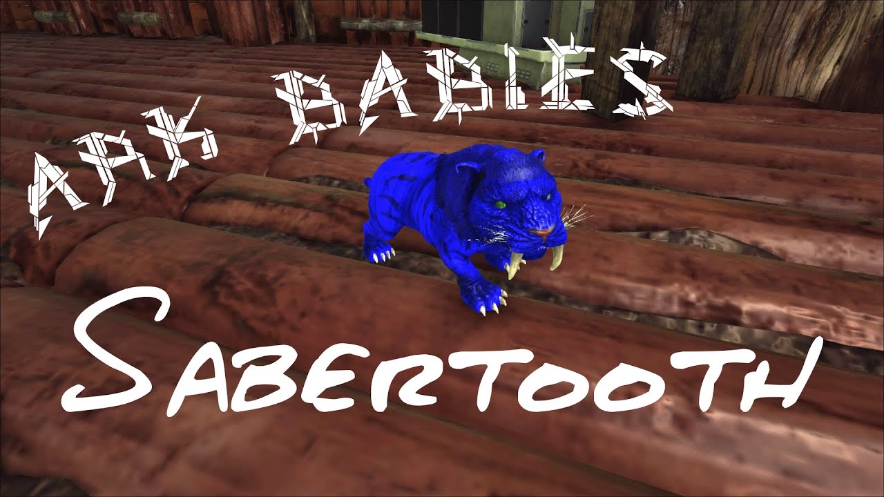 Ark Survival Evolved Ark Babies (Sabertooth) YouTube